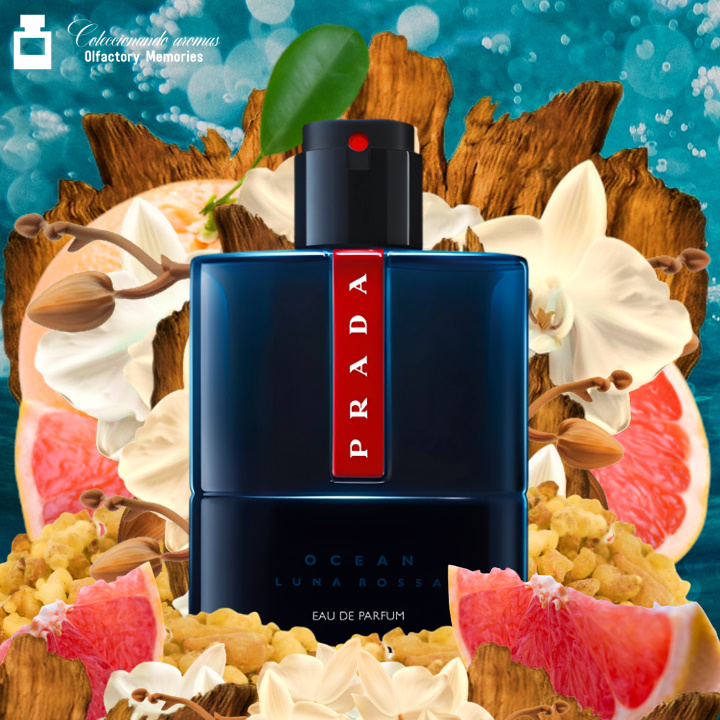 Olfactory Box “Seducción Masculina Privée 30 – Ámbar, Castaña y Mar Profundo” - Imagen 6