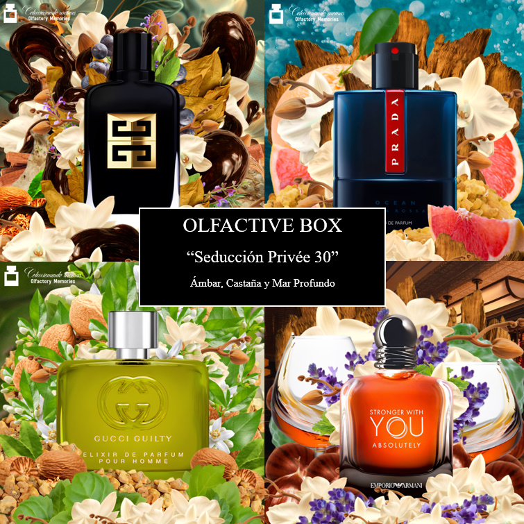 Olfactory Box “Seducción Masculina Privée 30 – Ámbar, Castaña y Mar Profundo” - Imagen 3
